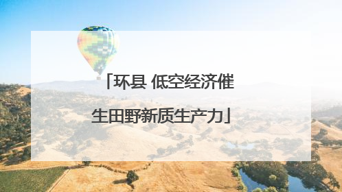 环县 低空经济催生田野新质生产力
