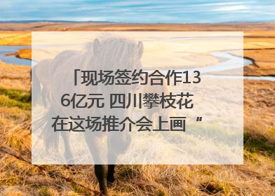 现场签约合作136亿元 四川攀枝花在这场推介会上画“图谱”列“清单”