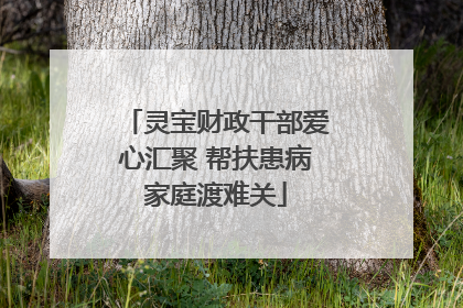 灵宝财政干部爱心汇聚 帮扶患病家庭渡难关
