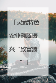 灵武特色农业翻腾振兴“致富浪”