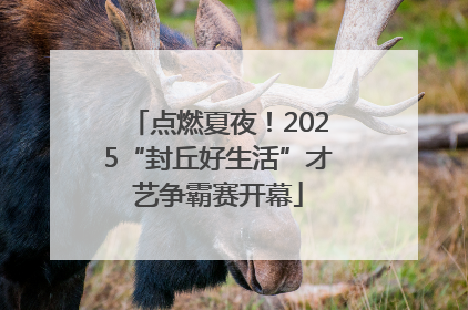 点燃夏夜！2025“封丘好生活”才艺争霸赛开幕