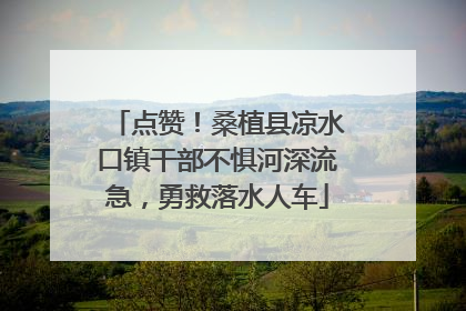 点赞！桑植县凉水口镇干部不惧河深流急，勇救落水人车