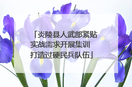 炎陵县人武部紧贴实战需求开展集训 打造过硬民兵队伍