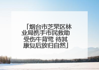 烟台市芝罘区林业局携手市民救助受伤牛背鹭 待其康复后放归自然