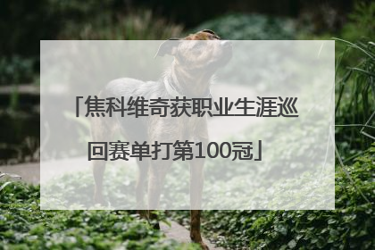 焦科维奇获职业生涯巡回赛单打第100冠