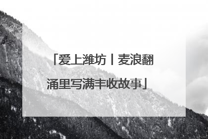 爱上潍坊丨麦浪翻涌里写满丰收故事