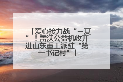 爱心接力战“三夏”！雷沃公益机收开进山东重工派驻“第一书记村”