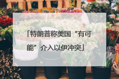 特朗普称美国“有可能”介入以伊冲突