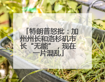 特朗普怒批：加州州长和洛杉矶市长“无能”，现在一片混乱