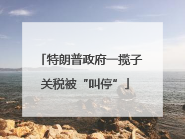 特朗普政府一揽子关税被“叫停”
