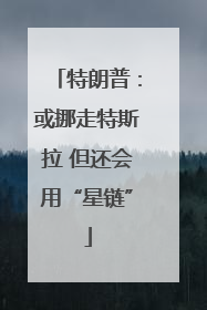 特朗普：或挪走特斯拉 但还会用“星链”