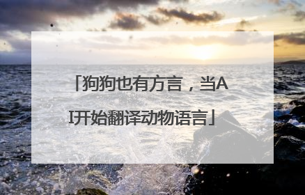 狗狗也有方言，当AI开始翻译动物语言