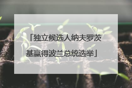 独立候选人纳夫罗茨基赢得波兰总统选举
