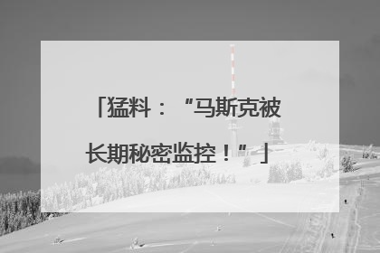 猛料：“马斯克被长期秘密监控！”