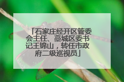 石家庄经开区管委会主任、藁城区委书记王锦山，转任市政府二级巡视员
