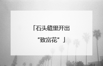 石头缝里开出“致富花”