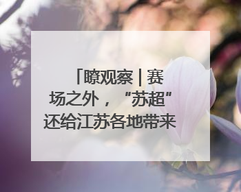 瞭观察 | 赛场之外，“苏超”还给江苏各地带来了什么？