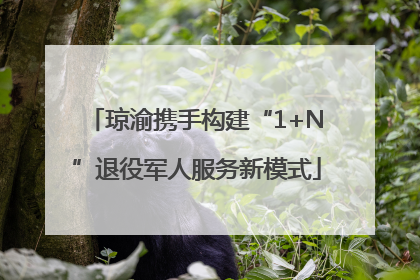 琼渝携手构建“1+N”退役军人服务新模式