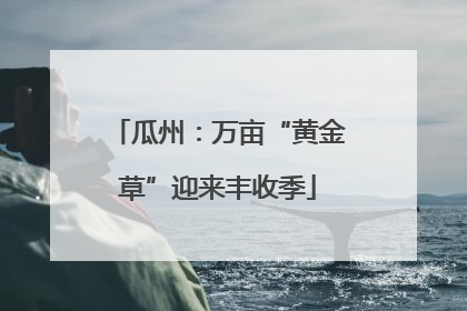 瓜州：万亩“黄金草”迎来丰收季