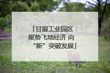 甘眉工业园区：聚势飞地经济 向“新”突破发展
