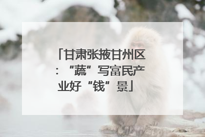 甘肃张掖甘州区：“蔬”写富民产业好“钱”景