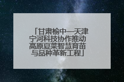 甘肃榆中—天津宁河科技协作推动高原夏菜智慧育苗与品种革新工程