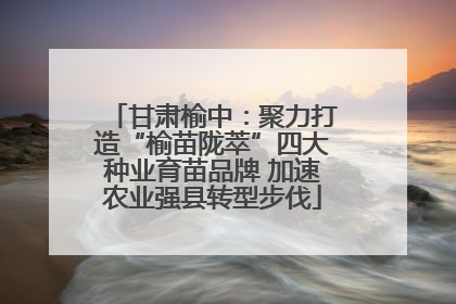 甘肃榆中：聚力打造“榆苗陇萃”四大种业育苗品牌 加速农业强县转型步伐