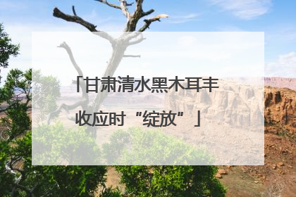 甘肃清水黑木耳丰收应时“绽放”