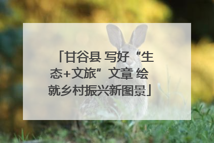 甘谷县 写好“生态+文旅”文章 绘就乡村振兴新图景