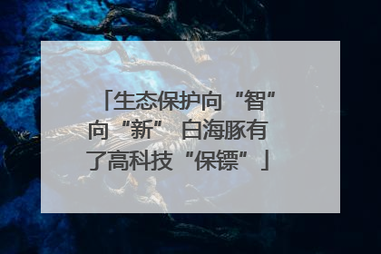 生态保护向“智”向“新” 白海豚有了高科技“保镖”
