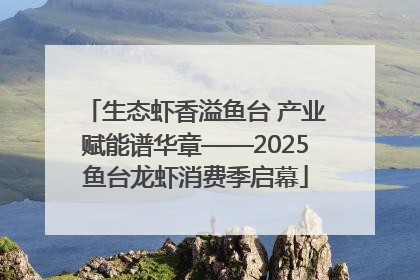生态虾香溢鱼台 产业赋能谱华章——2025鱼台龙虾消费季启幕