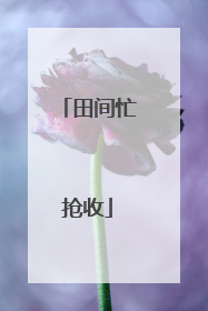田间忙抢收