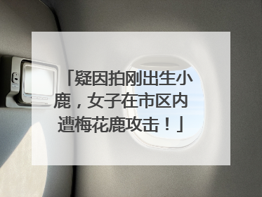 疑因拍刚出生小鹿，女子在市区内遭梅花鹿攻击！