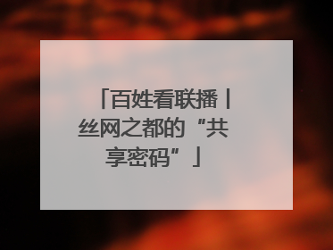 百姓看联播丨丝网之都的“共享密码”