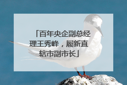 百年央企副总经理王秀峰，履新直辖市副市长