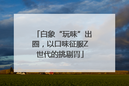 白象“玩味”出圈，以口味征服Z世代的挑剔胃