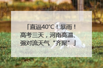 直逼40℃！暴雨！高考三天，河南高温、强对流天气“齐聚”