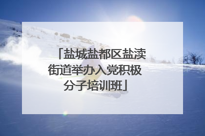 盐城盐都区盐渎街道举办入党积极分子培训班
