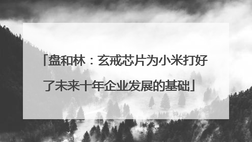 盘和林：玄戒芯片为小米打好了未来十年企业发展的基础