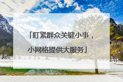 盯紧群众关键小事，小网格提供大服务