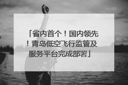 省内首个！国内领先！青岛低空飞行监管及服务平台完成部署