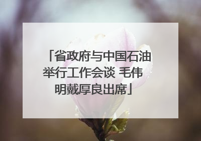 省政府与中国石油举行工作会谈 毛伟明戴厚良出席