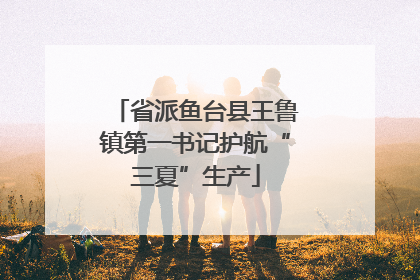 省派鱼台县王鲁镇第一书记护航“三夏”生产