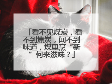 看不见煤炭，看不到焦炭，闻不到味道，煤里烹“新”何来滋味？