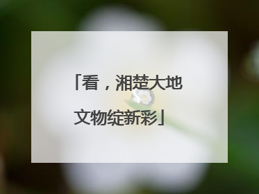 看，湘楚大地文物绽新彩