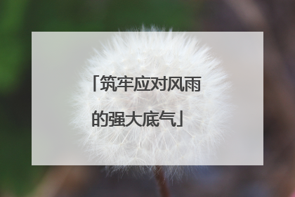 筑牢应对风雨的强大底气