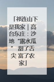 祁连山下是我家｜高台东庄：沙地“露水瓜” 甜了舌尖 富了农家