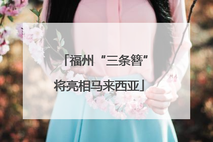福州“三条簪”将亮相马来西亚