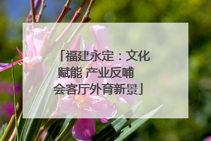 福建永定：文化赋能 产业反哺 会客厅外育新景