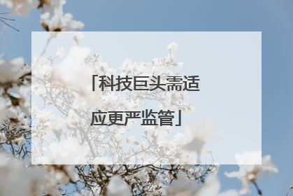 科技巨头需适应更严监管